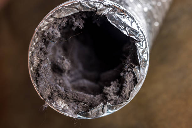 Best Commercial Air Duct Cleaning  in Winchester, OH