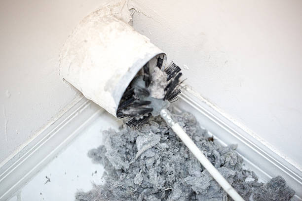 Best Air Duct Sanitizing Services  in Winchester, OH